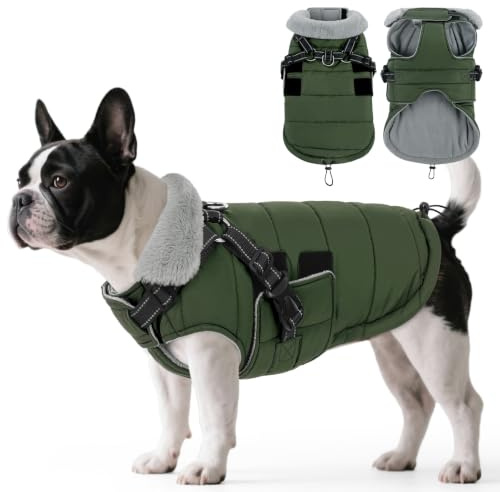 ASENKU Hundemantel Winter mit Geschirr S Wasserdicht für kleine Hunde | Reflektierend, Fleece, Hundejacke für Yorkshire Terrier, Chihuahua Ideal für Spaziergänge bei Nacht, Schnee und Wanderungen