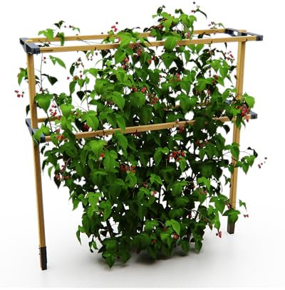 Gusta Garden Berry Buddy Tuteur flexible pour baies : framboises, mûres et myrtilles, extensible, fabriqué dans l'UE, treillis en bois (120 cm)