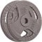 RIP X Pair of Tri Grip 2 Olympic Weight Plates in Cast Iron - 20kg
