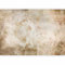 murando - Carta da Parati Adesiva Fiori 343x256 cm Fotomurali Adesivi Murali Rivestimento Parete Moderna per Pareti Adesiva Muro Decorativo Fotomurale Natura Botanico Impianti Rose beige