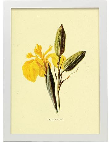 Nacnic Manifesto di Bandiera gialla. Collezione floreale vintage. Cornici decorative per il tuo soggiorno, camera da letto, casa. Stampa di arte da parete. Dimensioni A3 con cornici bianche
