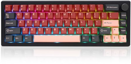 FKZ GMK67 Wireless Mechanical Keyboard,65% Mini Gasket Hot Swappable Custom Keyboard Tri-Mode BT5.0/2.4G/USB-C Wired Programmable RGB Gaming Keyboard with Knob Pre-Lubed Linear Switch (Black)