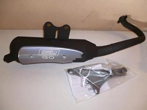 Pot d échappement GIANNELLI compatible avec Scooter Piaggio 50 Zip Sp 2T 1996 à 2015