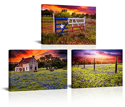 OuElegent Texas-Flagge Leinwand Wandkunst Wandbild Bluebonnet Felddrucke Bauernhaus Landschaft Gemälde Bilder für Wohnzimmer Küche Schlafzimmer Büro Wohnkultur fertig zum Aufhängen 3 Paneele (mittel)