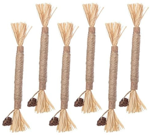 Qianxihu 6Pcs Cat Teeth Cleaning Sticks Toy Natural Catnip Chew Sticks Kitten Funny Cat Chew Sticks Toys Cat Teeth Nip Toy for Indoor Cat Stress Release