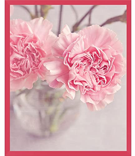 GP TONER Bilderrahmen Rahmen für Plakate Fotorahmen 40x50 cm Rosa