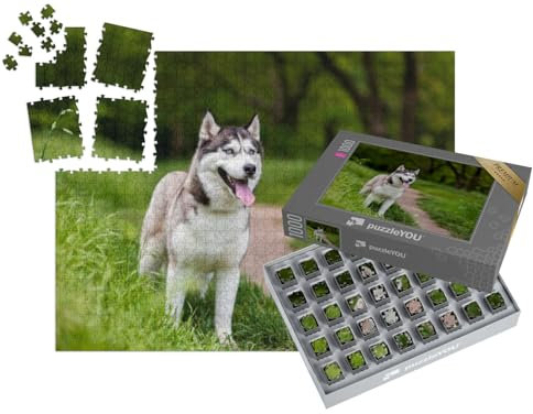 puzzleYOU: SMART Sorted® | Puzzle 1000 Teile leicht gemacht „Aufmerksamer Sibierischer Husky“ – aus der Puzzle-Kollektion Hunde, Huskys, Tiere des Nordens