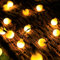 ENLACE Solar Lichterkette Außen, 5M 20 LED Lichterkette Kugeln Warmweiß, 8 Modi LED Globe Lichterkette für Hochzeit, Party, Garten, Balkon, Camping, Terrassen, Weihnachten Dekoration