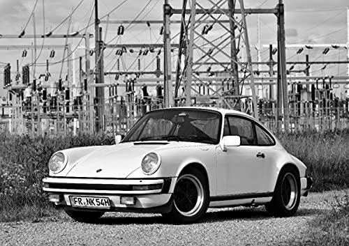 CALVENDO Poster 59,4 x 42,0 cm Querformat Ein Motiv aus dem Kalender Britisch Kurzhaar Katzen, Poster DIN A2 quer| Bilder, Kunstdruck, Wandbild, Wanddeko, Prints ohne Rahmen