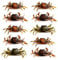 Pojedehy 10 Pcs Crab Bait, 3D Simulation Crab Soft Bait with Pointed Hook, Sea Fish Fishing Tackle Tools
