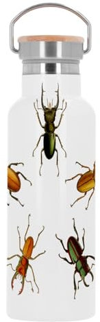 Thermosflasche aus Edelstahl, Thermosflasche, Käfer, Pentagon, Insekten, Biologie, alte Illustration, 500 ml