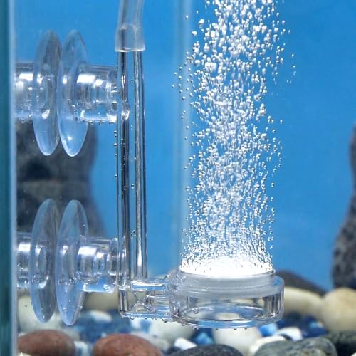 Exircy Aquarium Nano Bubble Stone Kit mit Steuerventil Ultra-High Diffusor für gelösten Sauerstoff Lässt Super Tiny Bubbles für Aquarium (23 mm)