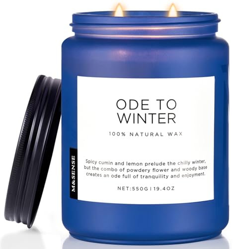 M&SENSE OdeToWinter Duftkerzen mit starkem Duft Winter Kerzen 2-Docht mit 550g 110 Std. lange Brenndauer Lavendel & Sandelholz natürliche Kerzengeschenke für Schlafzimmer Wohnraumdekoration