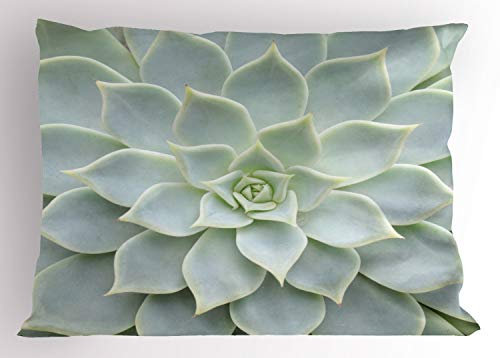 ABAKUHAUS Wüste Kissenbezug, Kaktus-Blumen-Foto, Dekorativer Standard King Size Gedruckter Kissenbezug, 65 x 50 cm, Blasses Salbeigrün