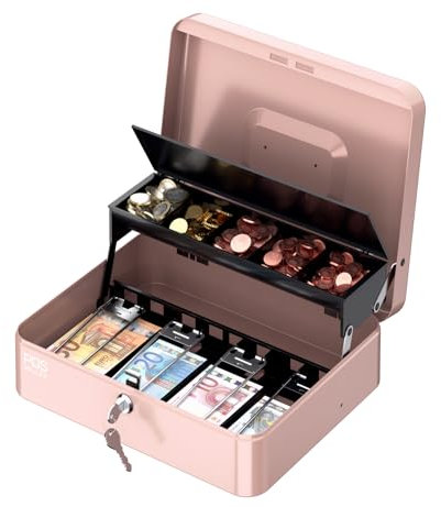 POS VALLEY Tragbare Geldkassette aus Eisen, mit Münzfach und Federn aus Stahl, Banknotenhalter, Sicherheitsschloss 30 x 24 x 9 cm (Rosa)