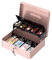 POS VALLEY Boîte à valeurs portable en fer, avec plateau porte-pièces et ressorts en acier ferme billets, serrure de sécurité 30 x 24 x 9 cm (rose)