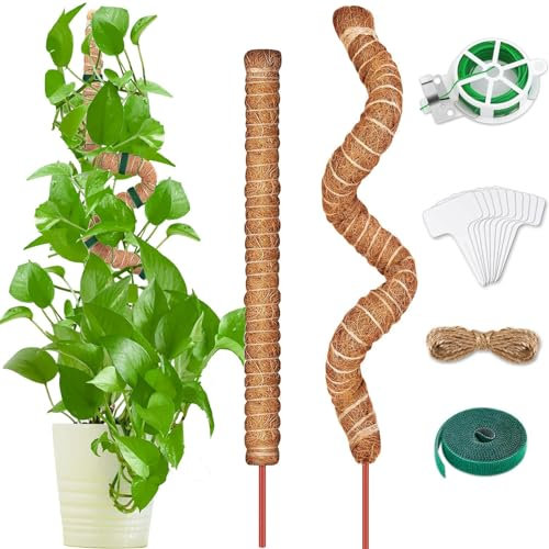 Pflanzenstab Rankhilfe 2 Pack, Monstera Rankhilfe 70cm und 100cm, Biegsame Kokosfaser Moosstab Pflanzstab Stab für Kletterpflanzen Natürlicher Pflanzenstütze mit Zubehör