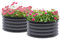 Outsunny Steel Raised Beds for Garden Set of 2, Outdoor Elevated Planter Box with Safety Edging, Easy-to-assemble Stock Tank for Growing Flowers, Herbs and Vegetables, Dark Grey