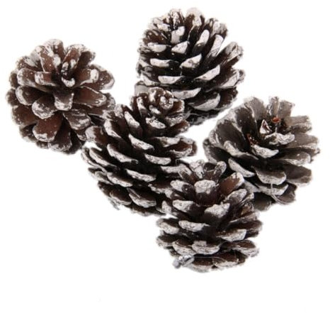 Warmhm 5 cm Große Tannenzapfen Christbaumschmuck Goldfarbene Tannenzapfen-Ornamente mit Draht Festliche Heimdekoration für Partys Hochzeiten Weihnachten