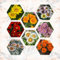 afrikanisches ringkörbchen pflanze samen - blumenwiese samen mehrjährig bodendecker pflanzen winterhart deko wohnzimmer blumen deko pflanzen für garten bienenweide pflanzen samen 120pcs