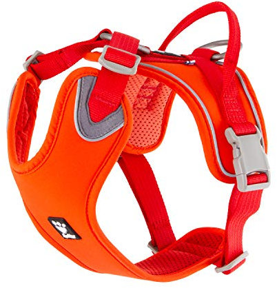 Hurtta Weekend Warrior ECO Hundegeschirr, Hagebutte, 40,6–45,7 cm