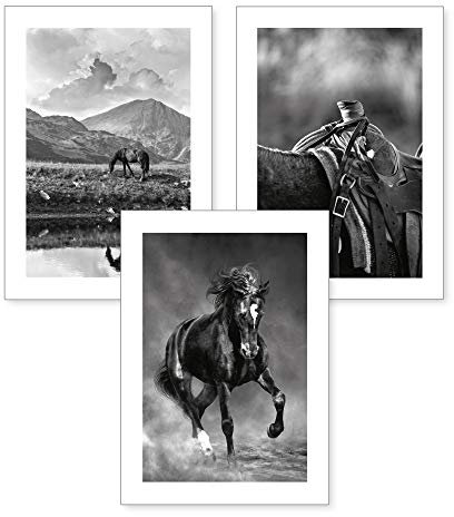 Kreative Feder 3-teiliges Premium Poster-Set | Kunstdruck | Pferde | Deko Bild für Ihre Wand | optional mit Rahmen | Wohnzimmer Schlafzimmer Modern Fine Art | DIN A4 / A3 (A4, ohne Rahmen)