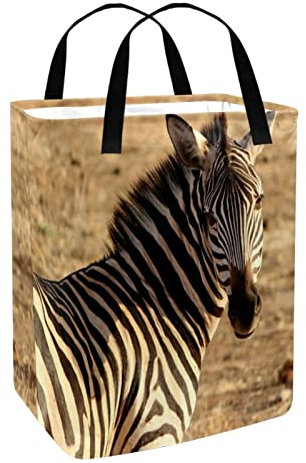 Zebra Afrika Wäschekorb mit Tiermotiv, personalisierbar, freistehend, mit Griff