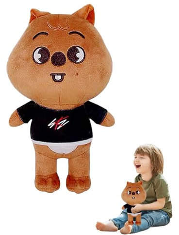 Ayizhiniu Stray Kids Skzoo Plush, Niedlich Stray Kids Plüschtier, 25cm Stray Kids Kuscheltiere, Zeichentrickfiguren Stray Kid Plüsch-Puppe, Gilt für Jungen Mädchen Geburtstagsgeschenke