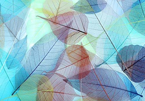 wandmotiv24 Fototapete Hell blau Laubstreu bunte Blätter, XL 350 x 245 cm - 7 Teile, Wanddeko, Wandbild, Wandtapete, Aquarell, Blatt, Herbst M2086