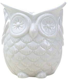 Cabilock Eleganter Keramiktopf in Eulenform Multifunktionaler Übertopf für Sukkulenten Kakteen und Kräuter