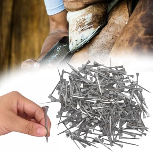 lukar 250 Uds Clavos de herradura de 2 pulgadas Clavos de pezuña de caballo E5 Herramientas de clavo de herradura de acero inoxidable Suministros de entrenamiento de caballos Accesorios de equipo de
