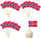 100 Stück Norwegen Cocktail Stick Flaggen,Zahnstocher Flaggen,deko kuchen flagge für Obst Picker Papier Kuchen Topper Sticks,Klein Mini Zahnstocher für Europäische Meisterschaft,Olympische