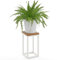 LAMO Manufaktur 30 cm Support Plantes | Piédéstal pour Plantes | Porte-plantes Interieur Cadre Blanc Gris | Plateau 100% Bois Massif Couleur: Foncé