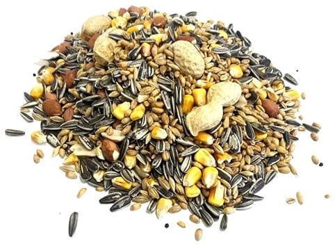 Squirrel Mixture 200g Premium Wild Life Food Garden Seed Feed SLW