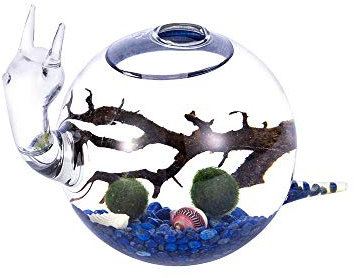 Kit d'aquarium en forme de globe soufflé avec vase en verre pour terrarium, boules de mousse, cailloux, coquillages et corail noir utilisé pour la décoration de bureau (style A)