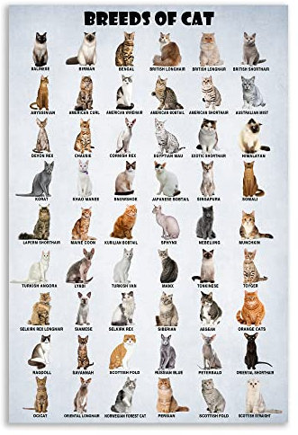 HLLNWB Poster Cat of the World mit Katzenmotiven, 30,5 x 45,7 cm