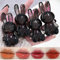 4 Farben Süße Kaninchen Lippen Glasur Gelee Lippenstift Set, Feuchtigkeitsspendender Hoher Glanz Flüssiger Lippenstift 2 in 1 Schlüsselanhänger Lipgloss Lippenstift, Aufpolsterndes Wasser Lipgloss