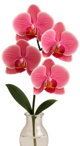 Flor Artificial de Orquídea – 1 Tallo de 40 cm con 4 Cabezas de Orquidea con Tacto Realista | Decoración Floral para Hogar, Jarrones, Bodas, Dormitorio, Fiestas. Sin Maceta.