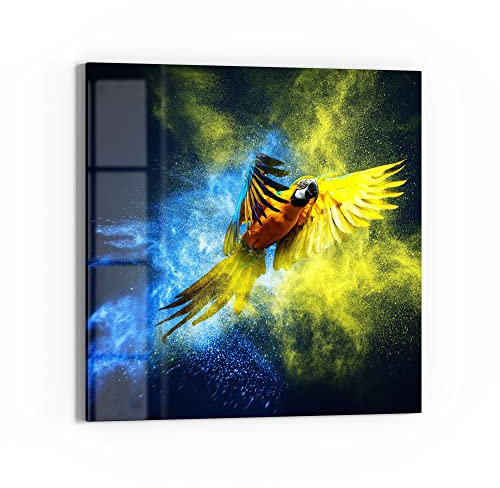 DEQORI Glasbild Echtglas | Motiv Papagei in Farbwolke | quadratisch einteilig 50x50 cm | schöne Dekoration | Wandbild für Wohnzimmer, Schlafzimmer, Flur & Küche | moderne Wanddeko