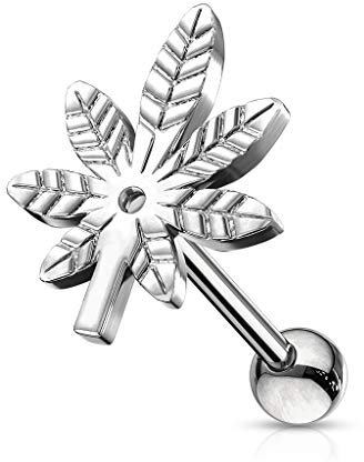 BlackAmazement 316L Edelstahl Tragus Helix Piercing Ohrstecker Pot Leaf Hanfblatt Silber Punk Biker Herren Damen