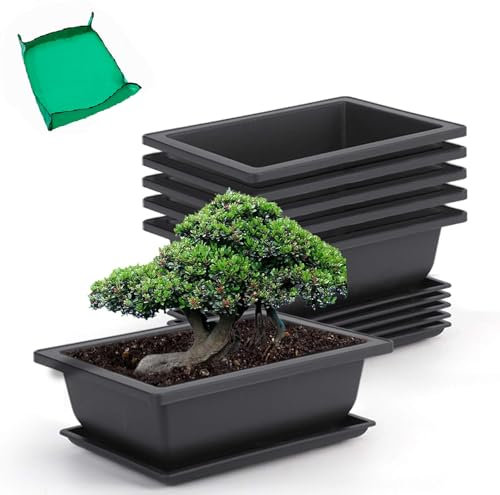 GROWNEER 6 Packs 9 Inch Bonsai Training Pots with Drainage Humidity Trays and 15 Pcs Plant Labels, Plastic Bonsai Tree Plants Growing Pot for Garden Yard Office Living Room Balcony