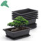 GROWNEER Paquete de 6 macetas de Entrenamiento para bonsái de 9 Pulgadas con bandejas de Humedad de Drenaje y 15 Etiquetas de Plantas, Maceta de plástico para Crecimiento de Plantas de bonsái para