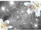 Runa Art Fototapete Lilien Blumen Ornament 352 x 250 cm Vlies Tapeten XXL Moderne Wandtapete Wohnzimmer Schlafzimmer Schwarz Weiss 9197011b