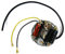 Lichtmaschine Zündapp 278 Motoren z.B. GTS/CS 50/25 Mofa Moped 6V 17 Watt