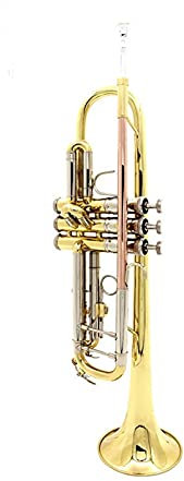 B-Wohnung lackiert Gold Professionelle Trompete Standard Trompete Anfänger Erwachsene Messing Instrument Trompeten Anfänger