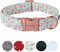 Unique Style Paws Hundehalsband Halsband Verstellbare Halsbänder oder Hundeleinen für Hunde und Katzen Klein Mittelgroß Groß