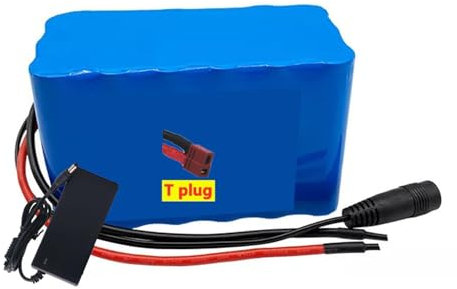 24 V 30 Ah 7S3P E-Bike-Akku Lithium-Ionen-Akku integrierte BMS-Schutzplatine mit Ladegerät für E-Bike Elektrofahrräder T Plug,24V 30Ah