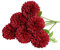 Tifuly Artificial Hydrangea Flowers, 6 Pcs Silk Chrysanthemum Small Ball Flowers for Home Garden Party Office Decoration Bridal Wedding Bouquets Floral Arrangement(Red)