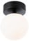Paulmann 71071 LED Deckenleuchte Selection Bathroom Gove IP44 3000K 400lm 230V 5W Schwarz matt, Satin Badleuchte