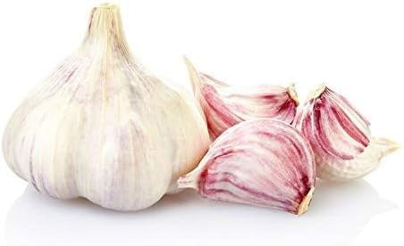Aglio ROSSO da semina 500 g – bulbi selezionati per coltivazione e orto domestico – alta resa e facile germinazione - SCONDIZIONATO - CON LOTTO E PROVENIENZA - con assistenza tecnica agraria